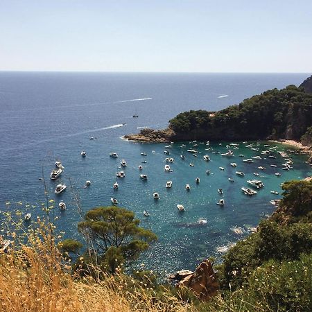 1 Bedroom Beautiful Apartment In Tossa De Mar Exterior photo